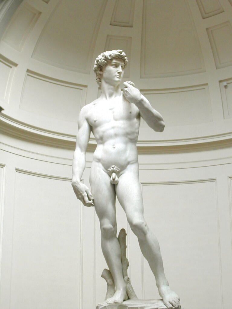 Michelangelo's David by Michelangelo, 1504