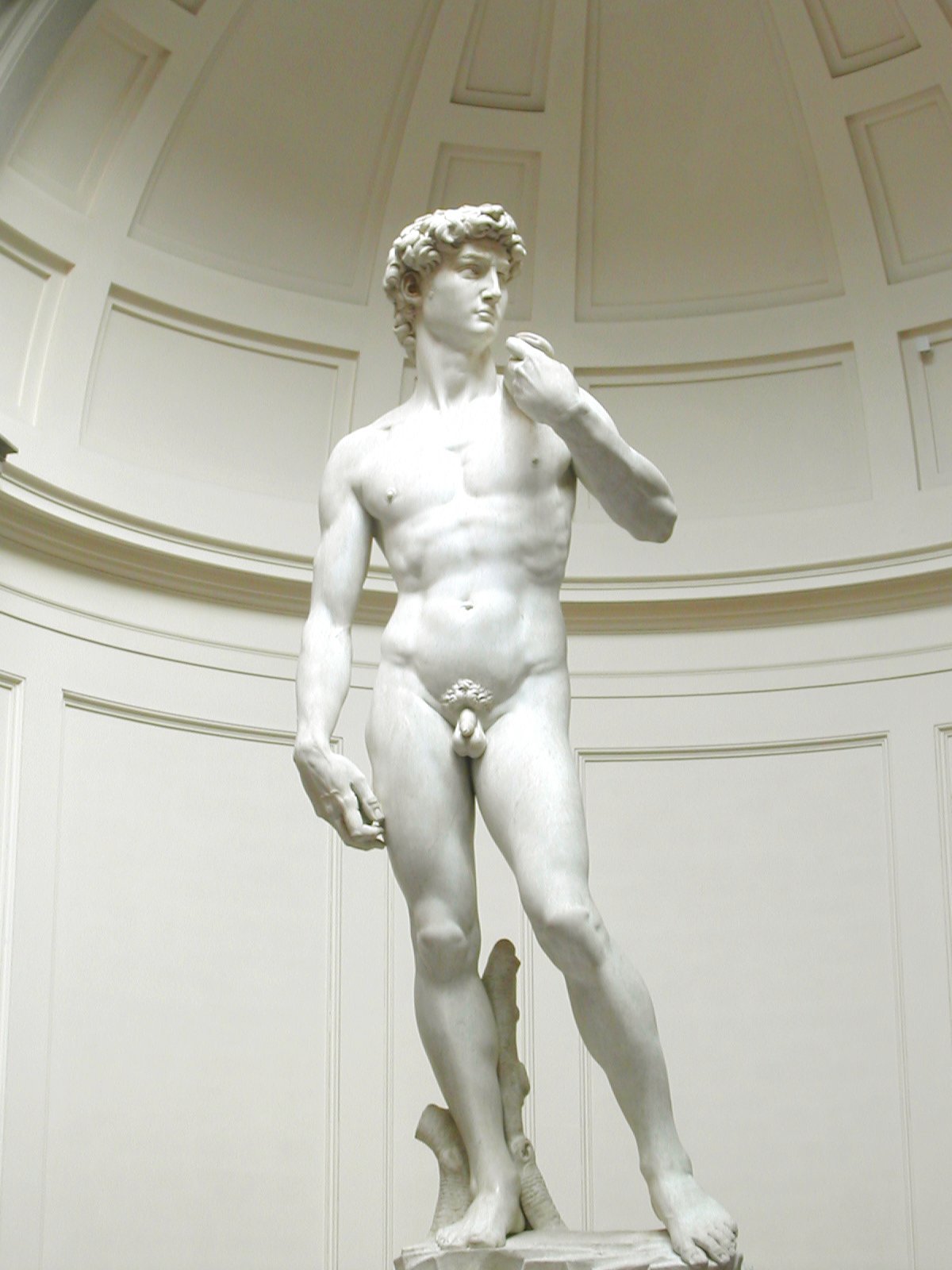 Michelangelo's David by Michelangelo, 1504